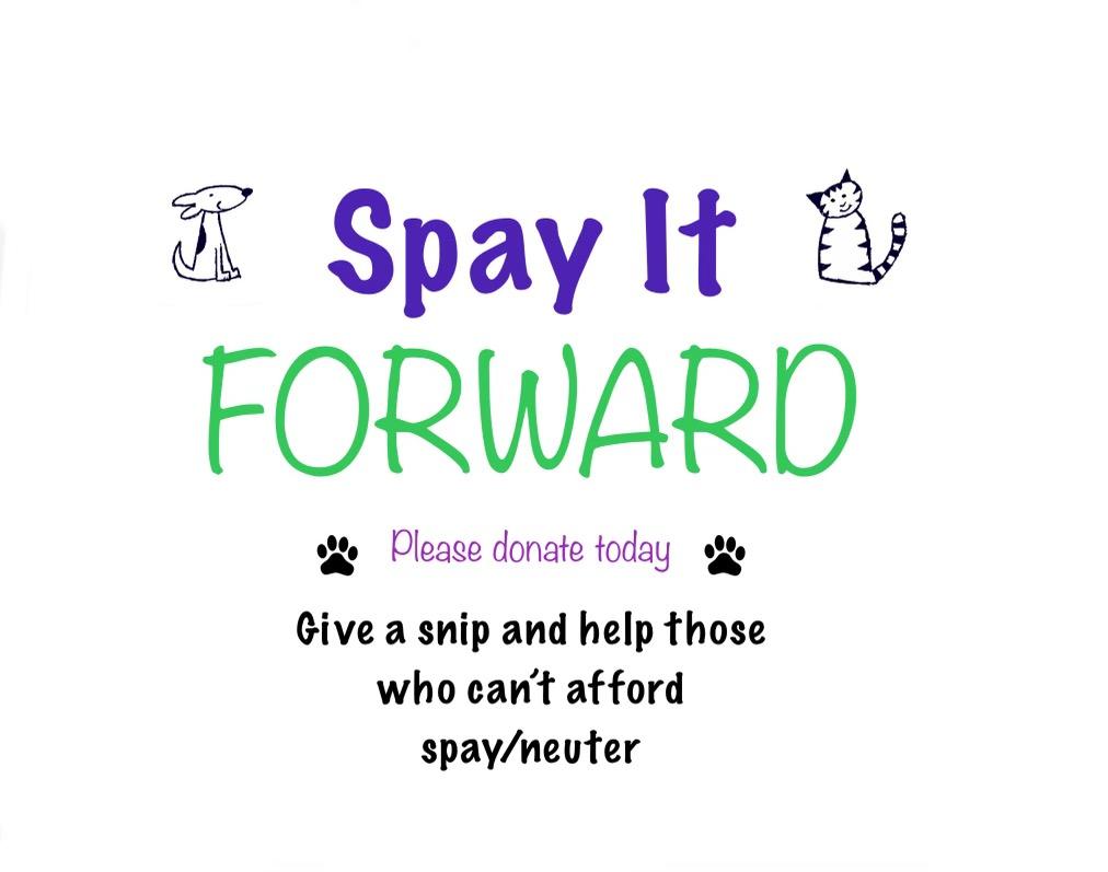 Spay It Forward fund